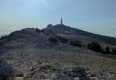 Trail Walking Beaumont-du-Ventoux - Mt Serein - Cachillan - Photo