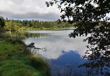 Trail Walking Orcival - Col de Guery -  lac de Servieres  - Photo