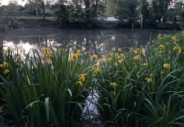 Randonnée Marche Bellerive-sur-Allier - Bellerive  - Photo