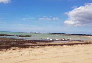 Tocht Hybride fiets Saint-Gilles-Croix-de-Vie - 85 - St Gilles-croix-de-vie à St-Jean-de-Monts - Photo