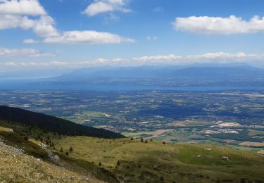 Tour Wandern Lélex - Le Crêt de la Neige - Photo