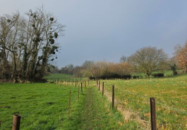 Trail Walking Wanze - A la découverte de Antheit 🥾 - Photo