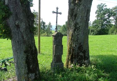 Percorso A piedi Durach - Durach: Bodelsberg-Runde - Photo