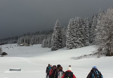 Randonnée Raquettes à neige Les Rousses - Noirmont 39 boucle - Photo
