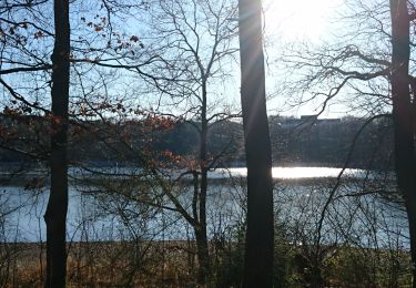 Trail Walking Bütgenbach - Butgenbach - Photo