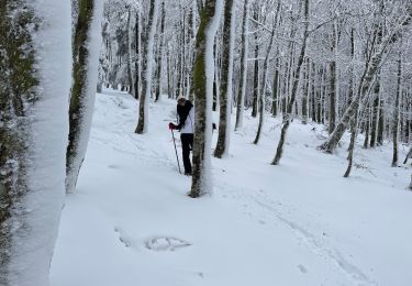 Trail Snowshoes Le Valtin - Col de la Schlucht - Photo