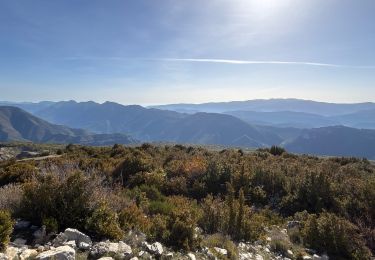 Trail sport Puget-Rostang - Mont Mairola (Mayola) - Photo