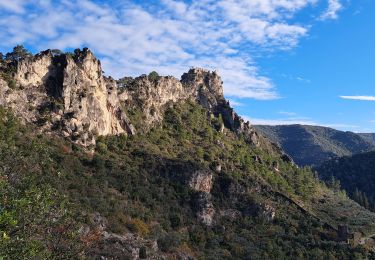 Tocht Stappen Saint-Guilhem-le-Désert - Saint Guilhem le Désert  - Photo