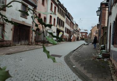 Tour Wandern Lützelstein - la petite pierre - Photo