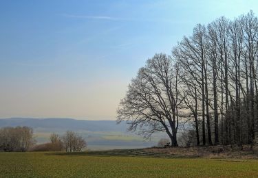 Tour Zu Fuß Untermerzbach - Lauftour UMB1 - Photo