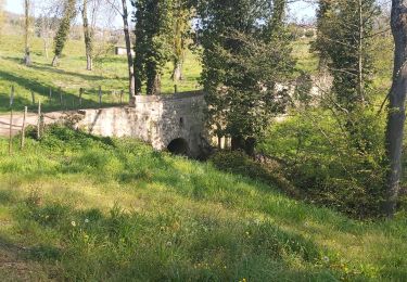 Randonnée Marche Pollionnay - Pollionay, Croix du Ban, la Luere - Photo