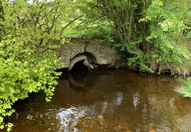 Trail Walking Neufchâteau - Longlier - marche chestrolaise 2019 10km - Photo