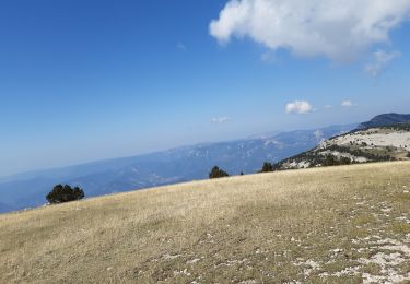 Trail Walking Laval-d'Aix - le dôme lavale d'Aix émane caux - Photo