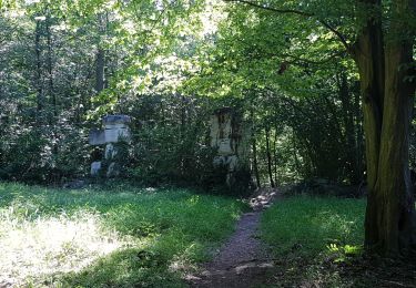 Trail Walking L'Isle-Adam - l Marais de Stors Foret de Lille Adam - Photo