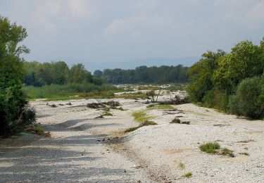 Excursión A pie Gemeinde Bad Erlach - Intersport Dvorak Runde