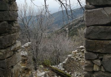 Trail Walking Rousset-les-Vignes - la lance - Photo