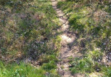 Trail Walking Champforgeuil - Champforgeuil etang Prin - Photo