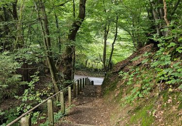 Trail Walking Aubel - A la redÃ©couverte de Val Dieu ð¥¾ - Photo