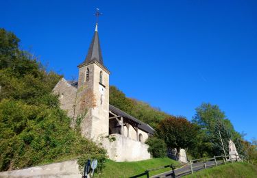 Excursión Senderismo Chançay - Chançay - GR655ouest Compostelle et PR - 23km 320m 5h10 (20mn) - 2021 10 14 - Photo
