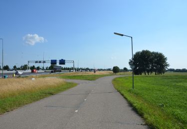 Excursión A pie Hoeksche Waard - Het eiland rond, de oeverloop - Photo