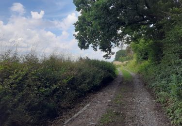 Trail Walking Tinlot - Ramelot  - Photo