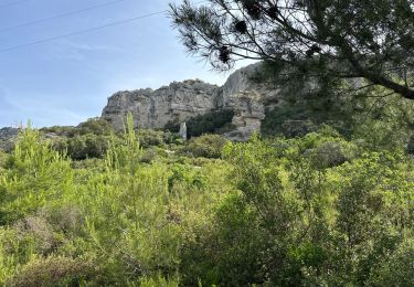 Tocht Stappen Lamanon - PF-Lamanon - Le Cirque de Borme - Autour du Vallon de la Redaresse - Photo
