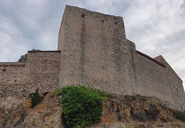 Percorso Marcia Montalba-le-Château - chateau de montalbat - Photo
