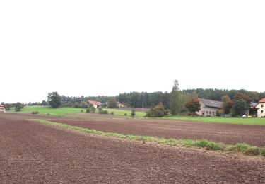 Randonnée A pied Lichtenfels - Rundweg Schifferbrunnen-Aßlitz - Photo