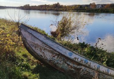 Tour Wandern Eijsden-Margraten - Promenade dans la réserve naturelle d’Eijsder Beemden - Photo