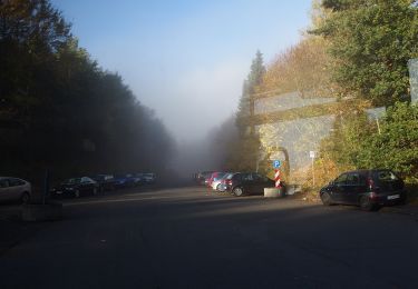 Tour Zu Fuß Siegen - (K) Klafelder Rundweg - Photo