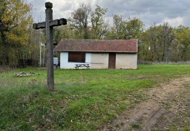 Randonnée Marche Merrey-sur-Arce - Bouhey - Photo