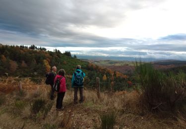 Trail Walking Bourgs sur Colagne - LES VIOLLES - Photo