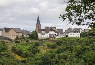 Percorso A piedi Patersberg - Rheinsteig-Zuweg Reichenberg - Photo