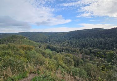 Randonnée Marche Aywaille -  A la découverte du Ninglinspo 🥾 - Photo