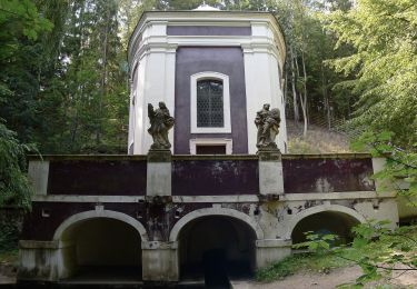 Percorso A piedi Bakov nad Jizerou - Bělá p. Bezdězem (žst., rozc.) - Klokočka - Photo