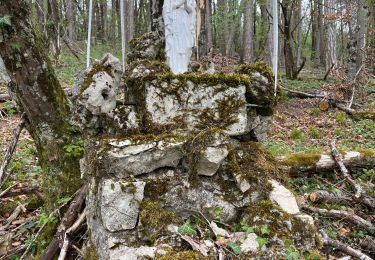 Tocht sport Viéville - 52 Viéville la vierge flnticult - Photo