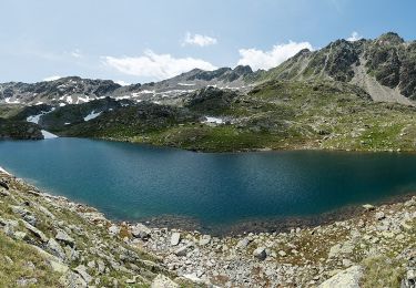 Tour Zu Fuß Zernez - Macun-Alp Zeznina Dadaint - Photo