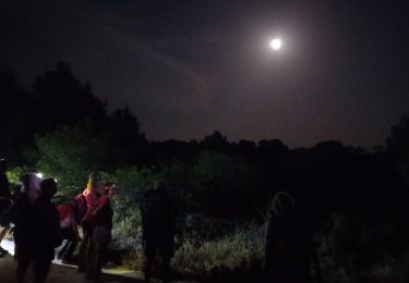 Percorso Marcia Castelnau-de-Guers - nuit  - Photo