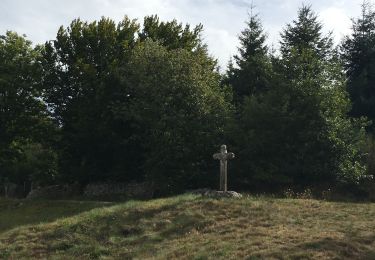 Trail Walking Cambon-et-Salvergues - Col de Fontfroide - Les Bourdils - Photo