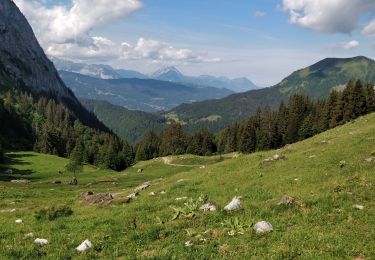 Trail Walking Samoëns - Les Allamands lac des Verdets - Photo