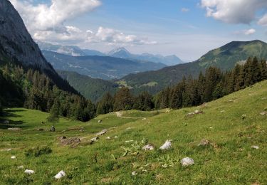 Randonnée Marche Samoëns - Les Allamands lac des Verdets - Photo