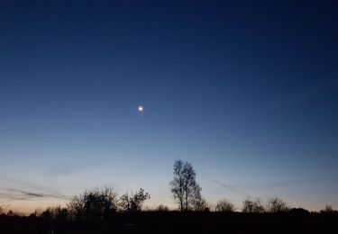 Tocht Stappen Walcourt - Adeps - Somzée 15km 24112019 - Photo