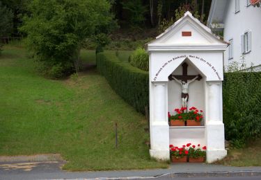 Tocht Te voet Ollersdorf im Burgenland - Großer Vitalwanderweg (Stegersbach) - Photo