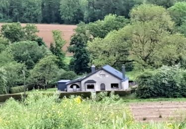 Randonnée Marche Havelange - Méan  - Photo