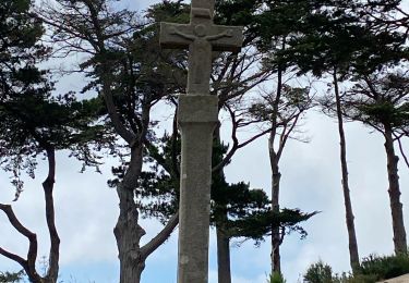 Tour Wandern Trégastel - Trecastel - Photo