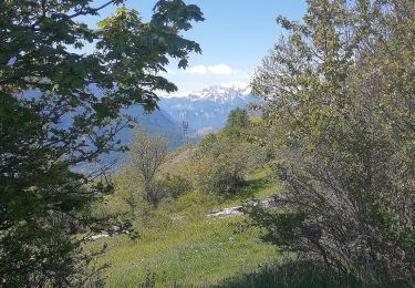 Percorso Marcia Puy-Saint-Pierre - tour des puys par prorel et les combes - Photo