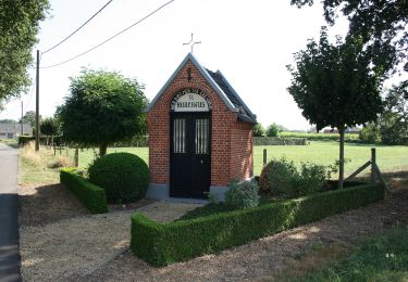 Randonnée A pied Kinrooi - Zig en Goort Gele zeshoek - Photo