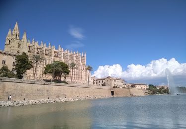 Tour Wandern  - Palma - Photo