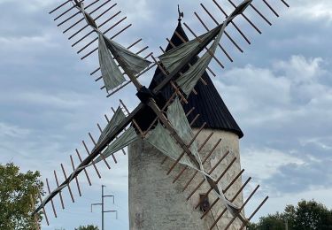 Randonnée V.T.T. Vendays-Montalivet - Montalivet - Vensac - Photo