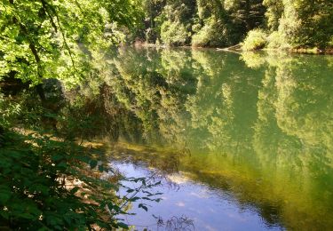 Excursión Senderismo Charmauvillers - Goumois randonnée La Goule  - Photo